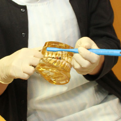 歯の模型を持って説明する歯科衛生士